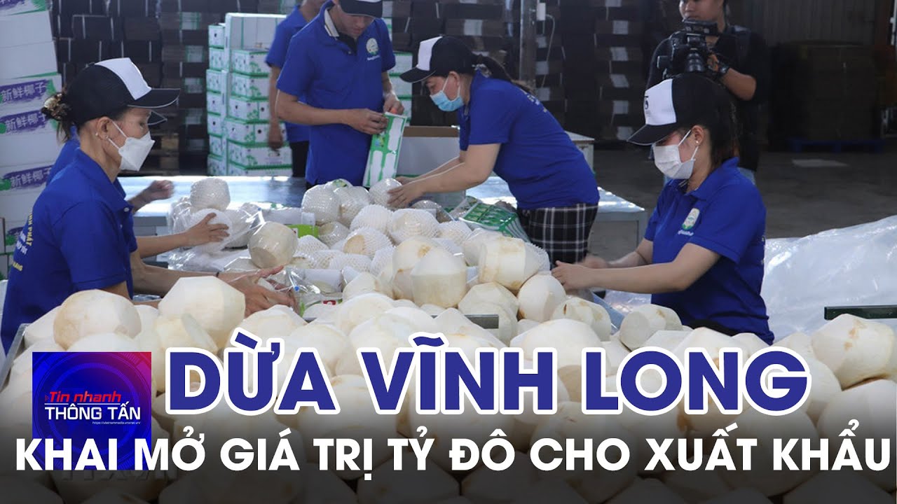 Khai mở giá trị tỷ đô cho xuất khẩu dừa Vĩnh Long | Tin nhanh Thông tấn