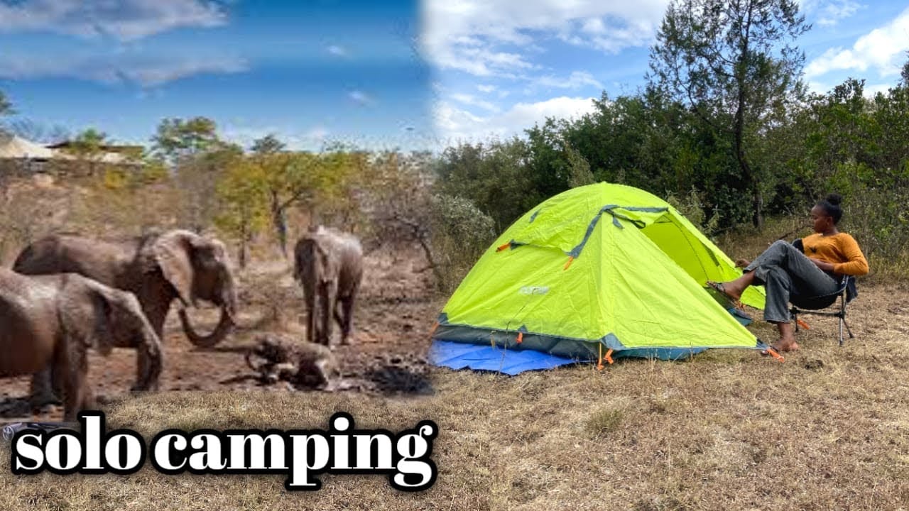 I TRIED Camping ALONE in the Wilderness & this happened.