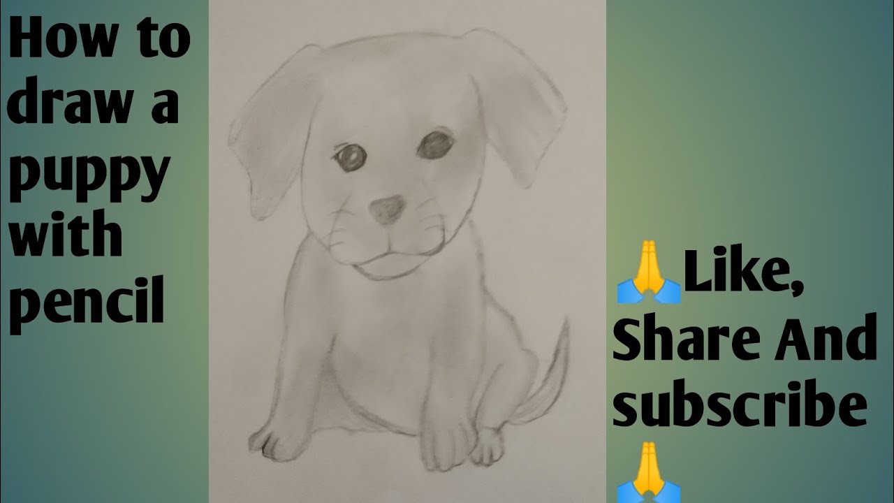 How to draw ✏️📝 a cute puppy 