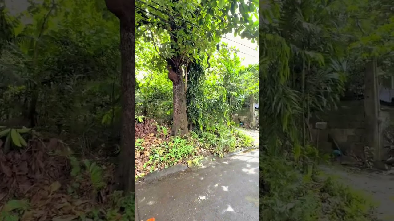 240 SQM LOT PROPERTY FOR SALE IN FILINVEST 2 QUEZON CITY NEAR THE MAIN GATE #shorts 