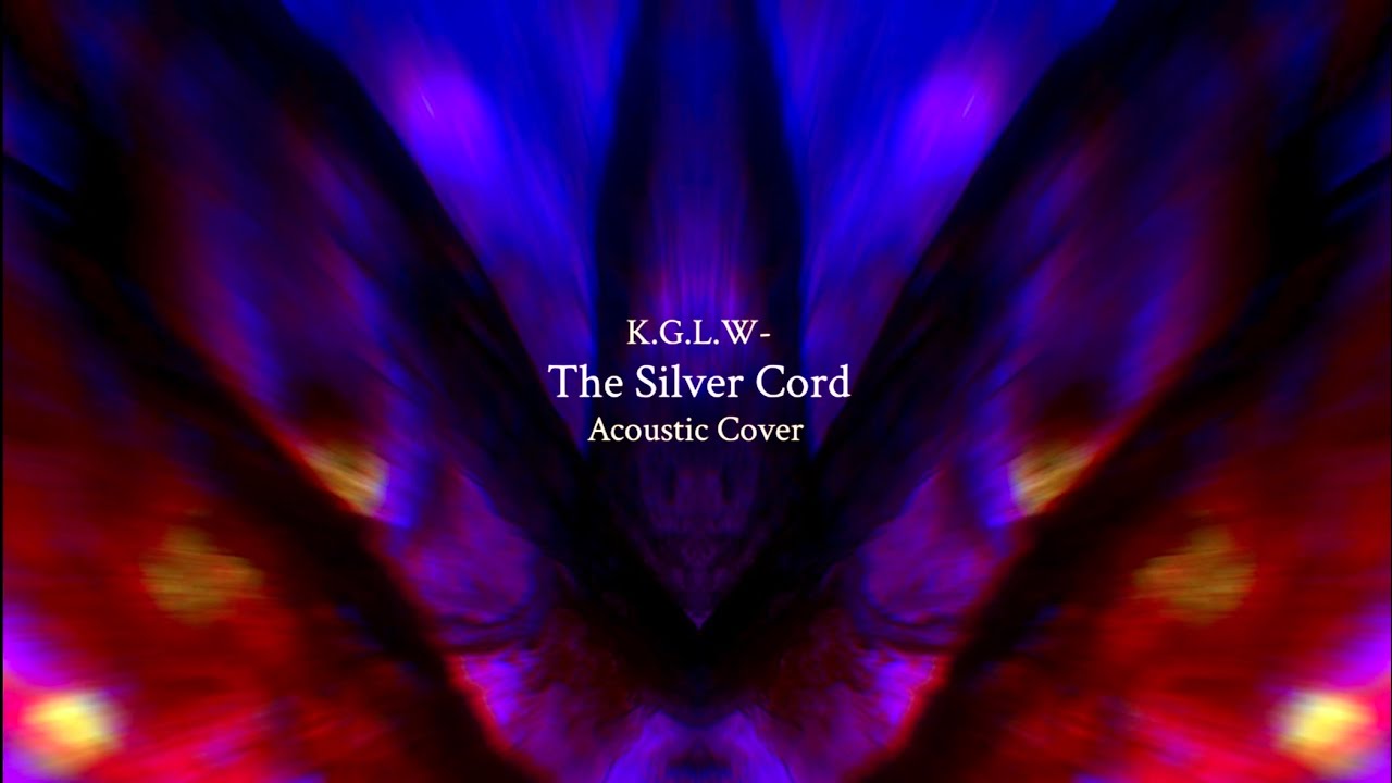 King Gizzard - The Silver Cord (Acoustic Cover)