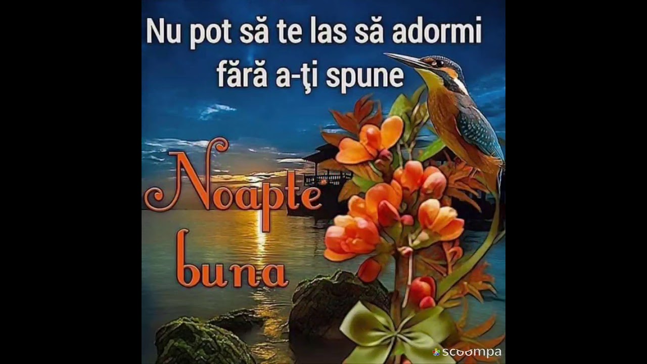 @lilicudetoate #Noapte #bună!