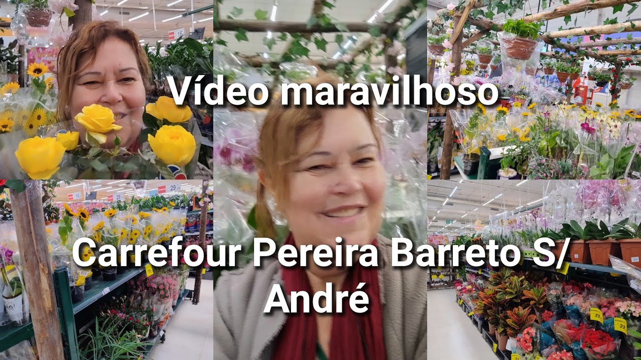 PLANTAS NO CARREFOUR PEREIRA BARRETO S/ ANDRE ESPECIAL DIA DOS PAIS PLANTAS MARAVILHOSAS 🌹🌷🏡🪴