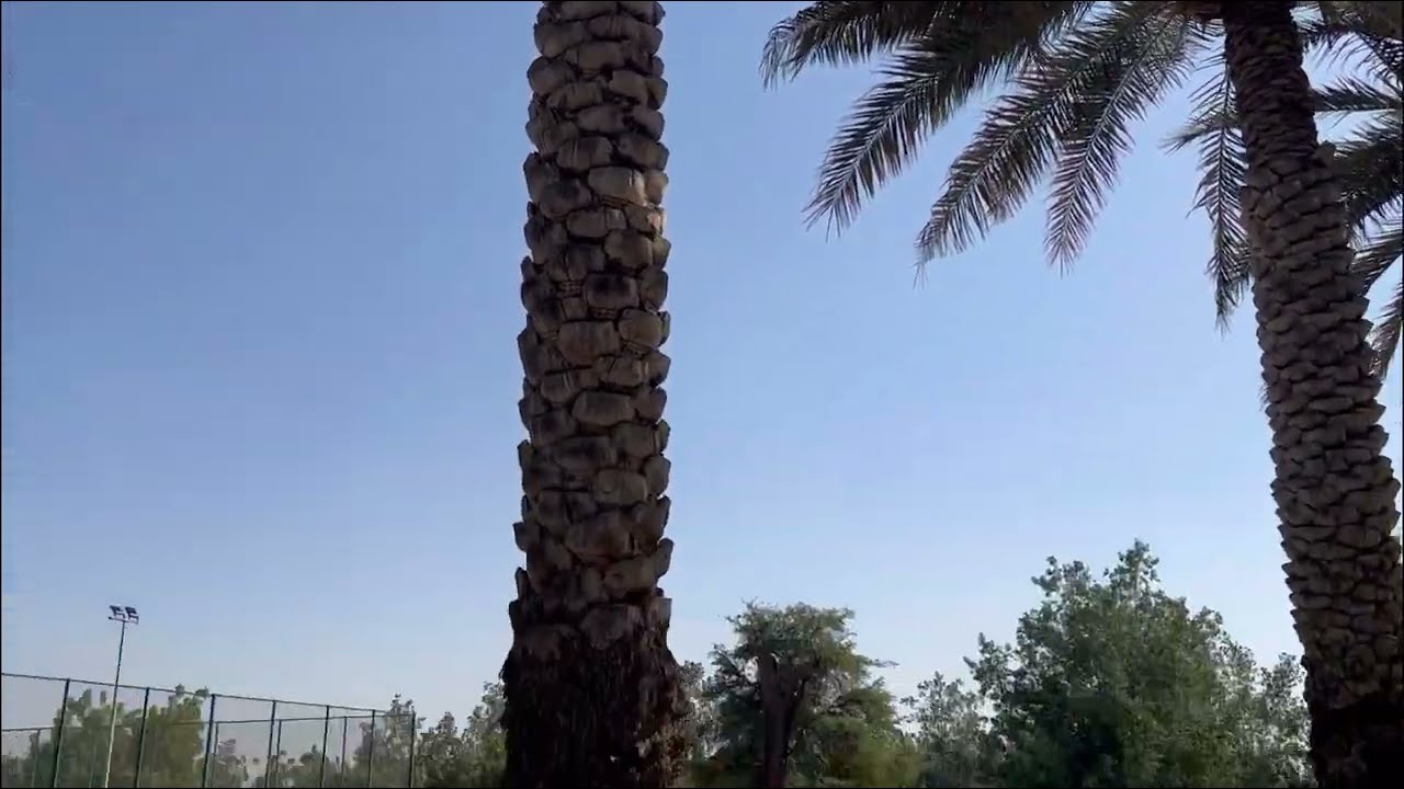 #نزهة_بحديقة_ند_شما_الراشدية_دبي_الإمارات