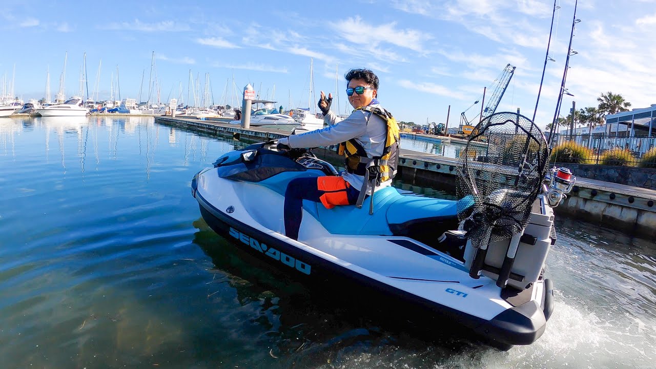 【钓鱼】新西兰海湾惊现海豚群｜Marsdon Bay｜Seadoo Jet-ski