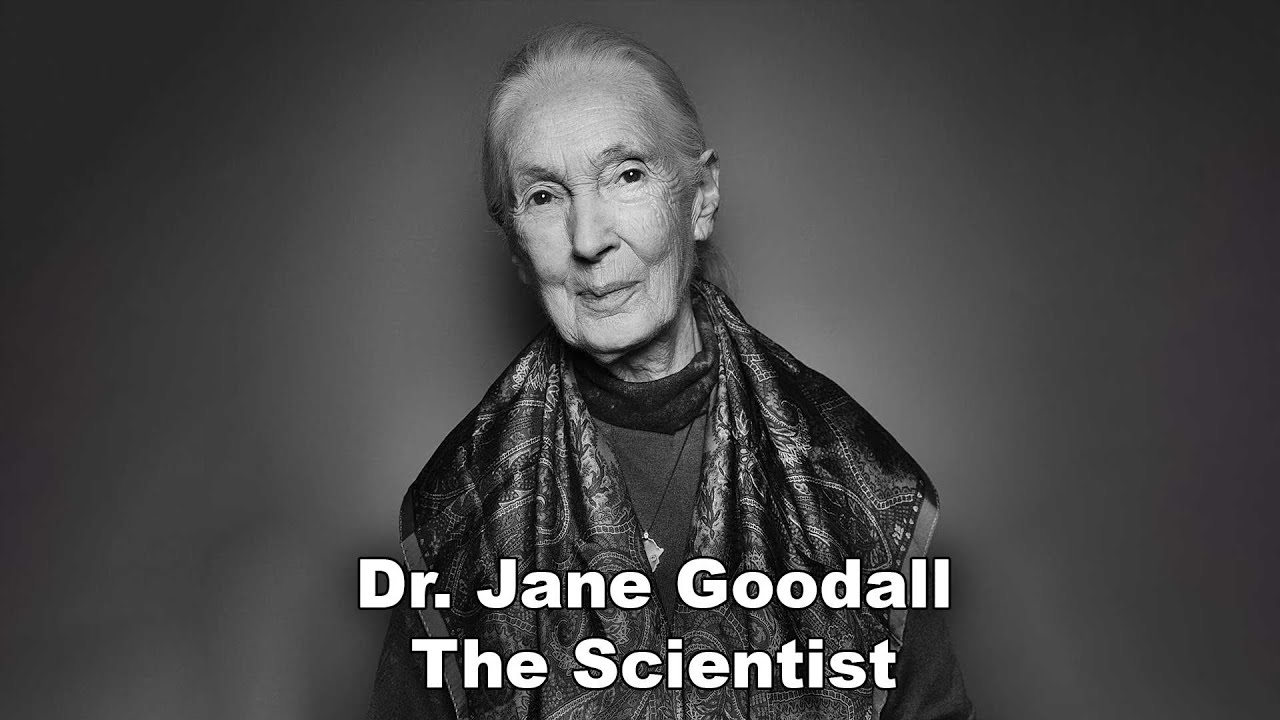 You are Probably Underestimating Jane Goodall’s Impact