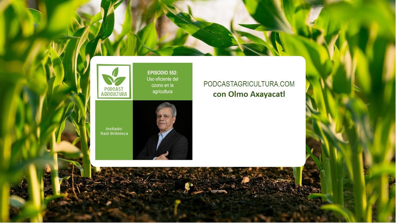 552 Uso eficiente del ozono en la agricultura con Raúl Bribiesca