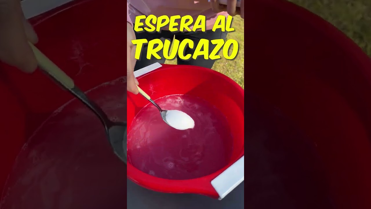 QUITAR MANCHAS TAPICER&Iacute;A