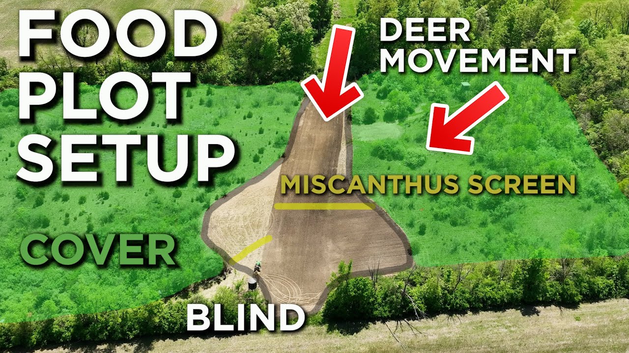 The BEST Food Plot Set Up?! | Clover, Oats & Miscanthus?