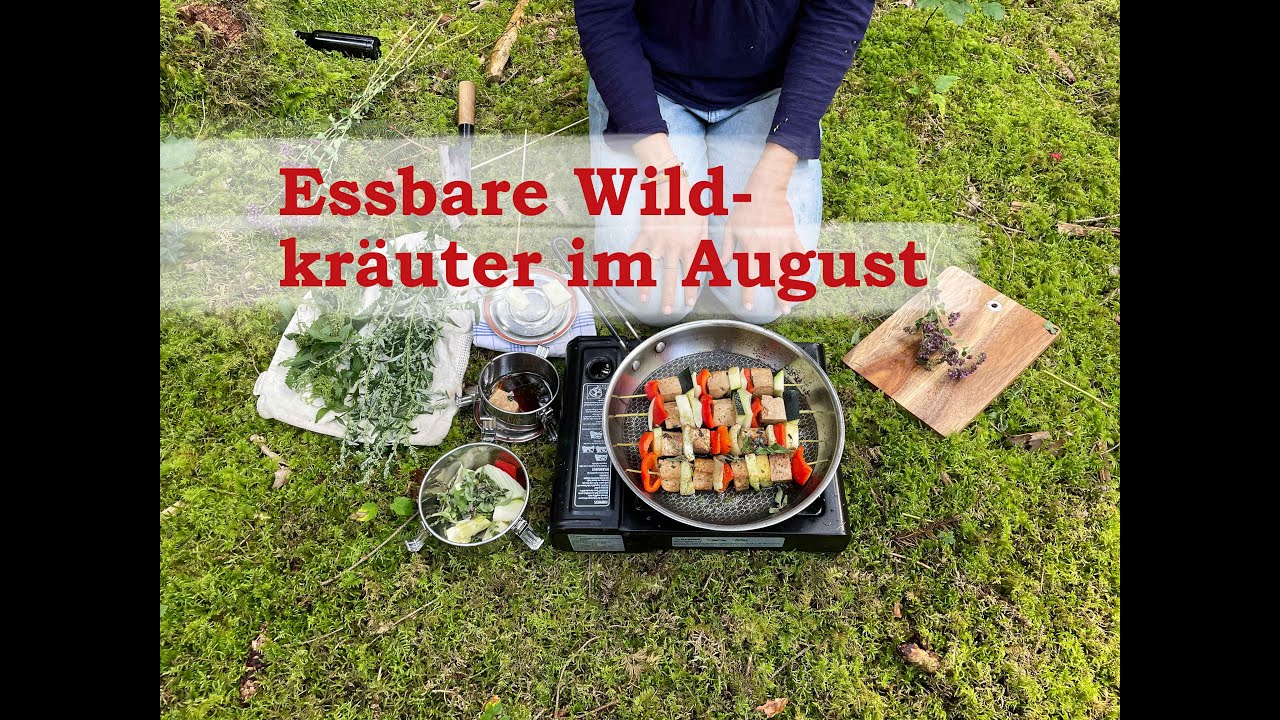 Essbare Wildkräuter im Juli und August - Beifuss, Dost, große Klette und Wildkräuter Grillspiese