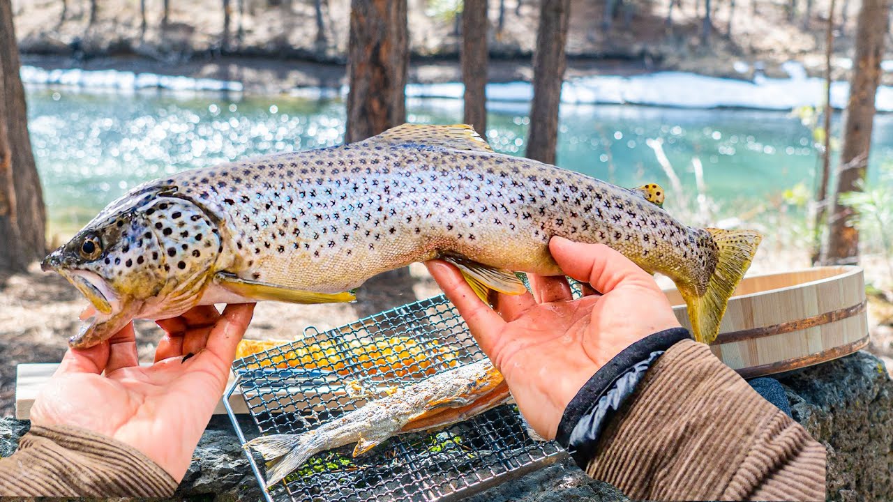 BEST SUSHI ON THE RIVER with Trout | Catch and Sushi