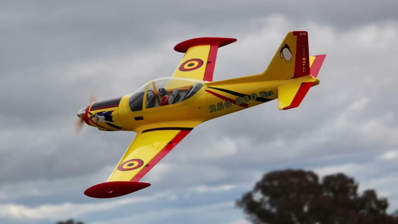 Adam’s SIAI-Marchetti SF.260