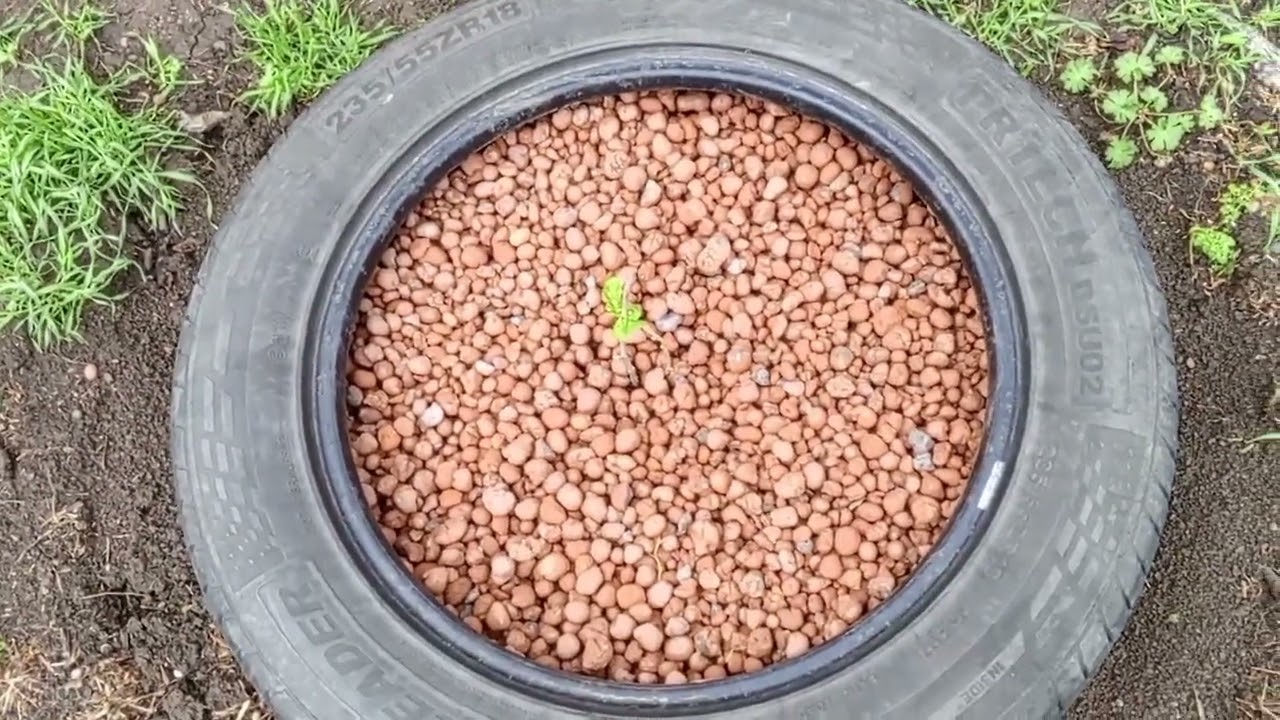 Я Ирина о всяком разном, кулинарю, всё цветёт, собираю пасхальную корзину.