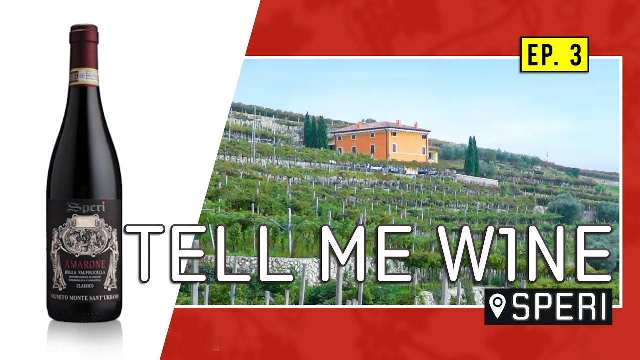 Amarone della Valpolicella 🍷 Ecco come nasce uno dei migliori VINI ITALIANI 🇮🇹  (Documentary Speri)