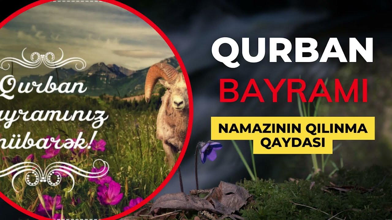 Qurban Bayramı Namazı Necə Qılınır