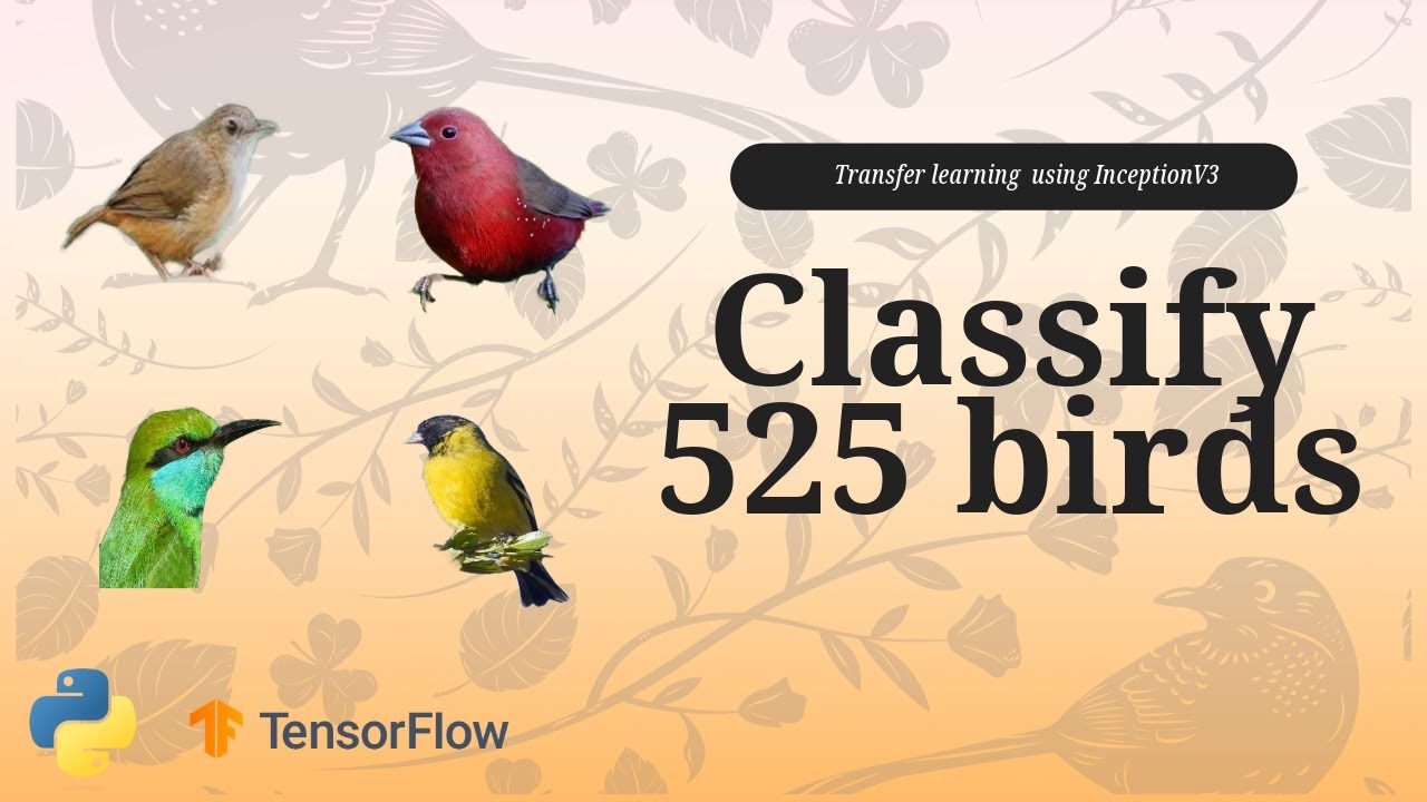 Inception V3 Practical Implementation | Classify more than 500 Birds Species (!!!)