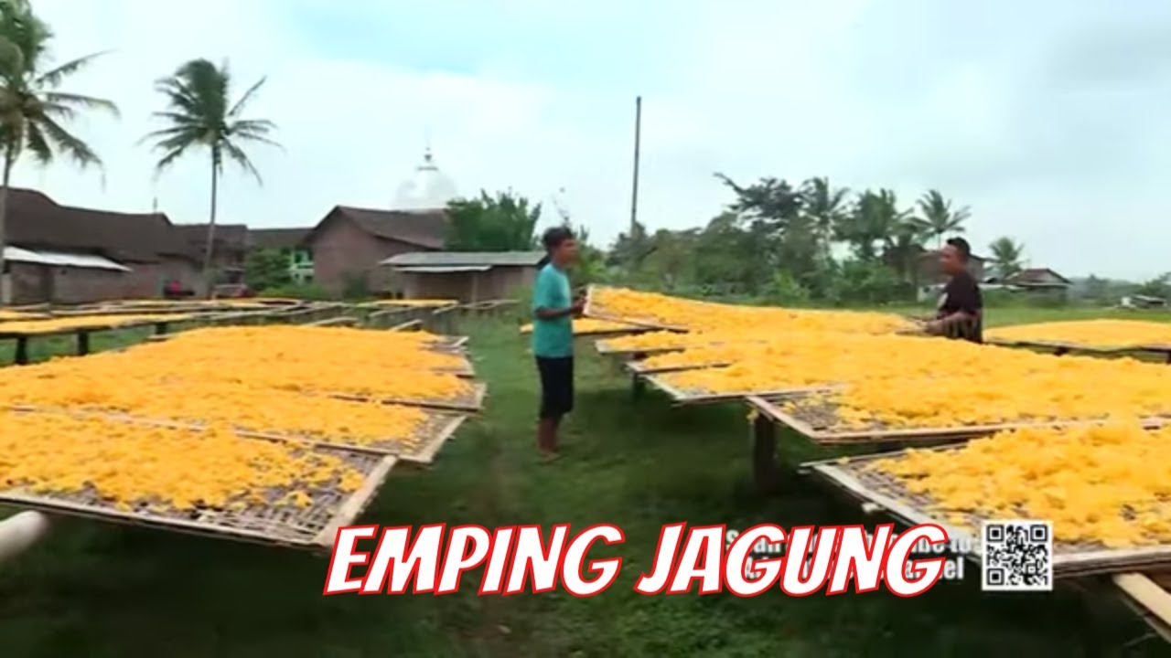 MEMBUAT EMPING JAGUNG | JEJAK SI GUNDUL (20/06/21)