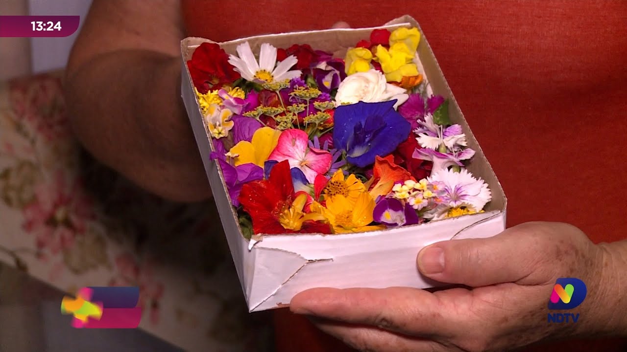 Flores comestíveis: entenda quais podem ser consumidas
