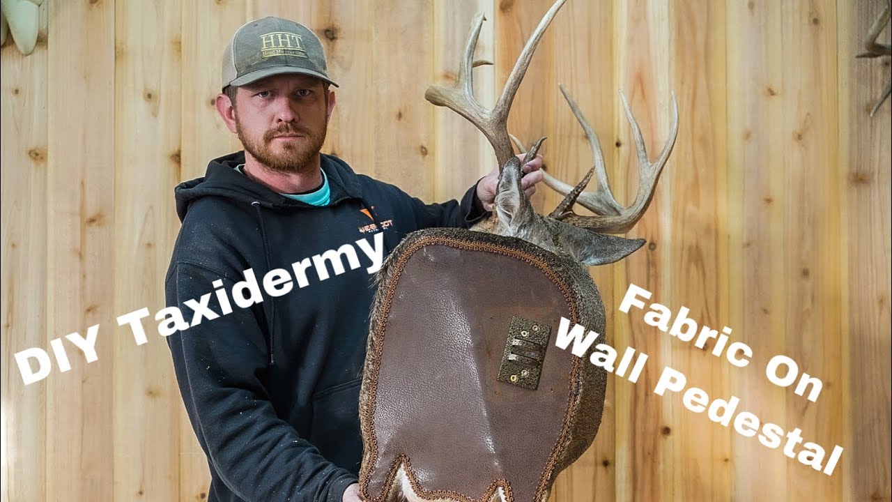 DIY Taxidermy: Fabric Installation on Wall Pedestal