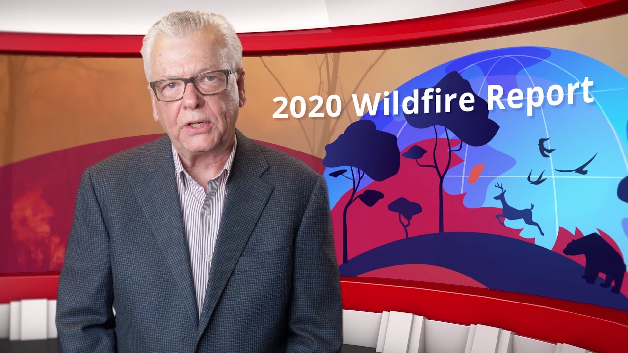 Understanding Wildfire Risk in a Devastating Year