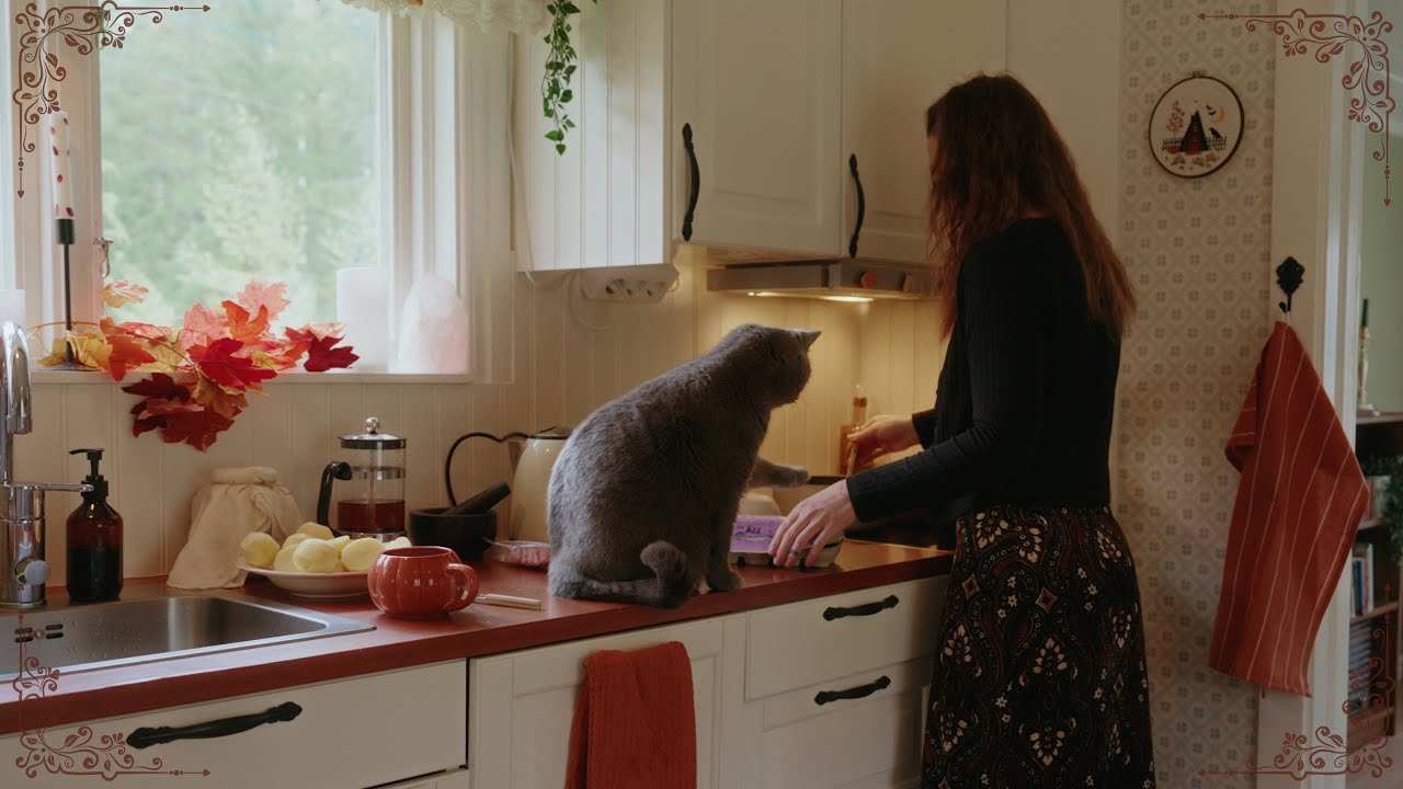 Life in a Tiny Cottage | Organizing and Cooking #46