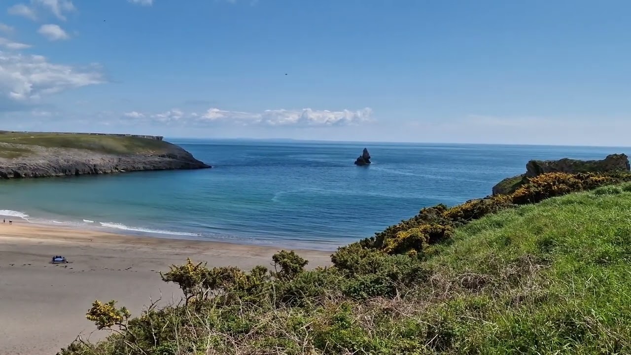 Stackpole Estate