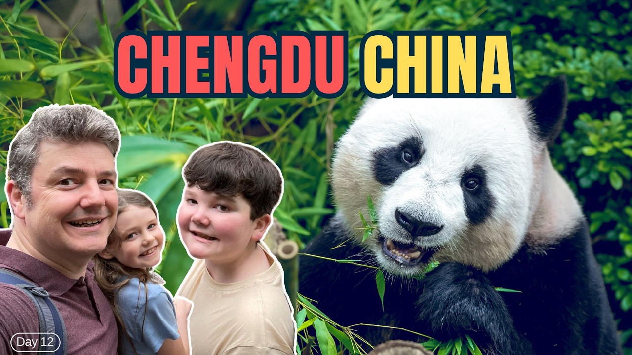 Мы посетили CHENGDU PANDA BASE — ЛУЧШЕЕ место для наблюдения за ПАНДАМИ в КИТАЕ