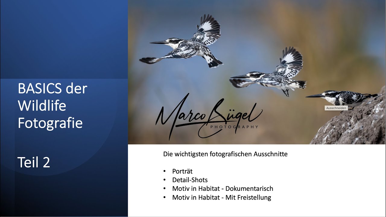 Die Basics der Wildlife Fotografie  - Teil 2