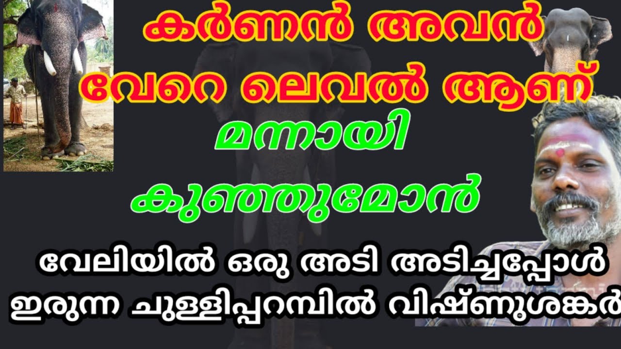വേലിയിൽ ഒരു അടി അടിച്ചപ്പോൾ ഇരുന്ന വിഷ്ണു ശങ്കർ,🔥🔥🔥കർണനും ചുള്ളിയും പിന്നെ മന്നായി കുഞ്ഞുമോനും