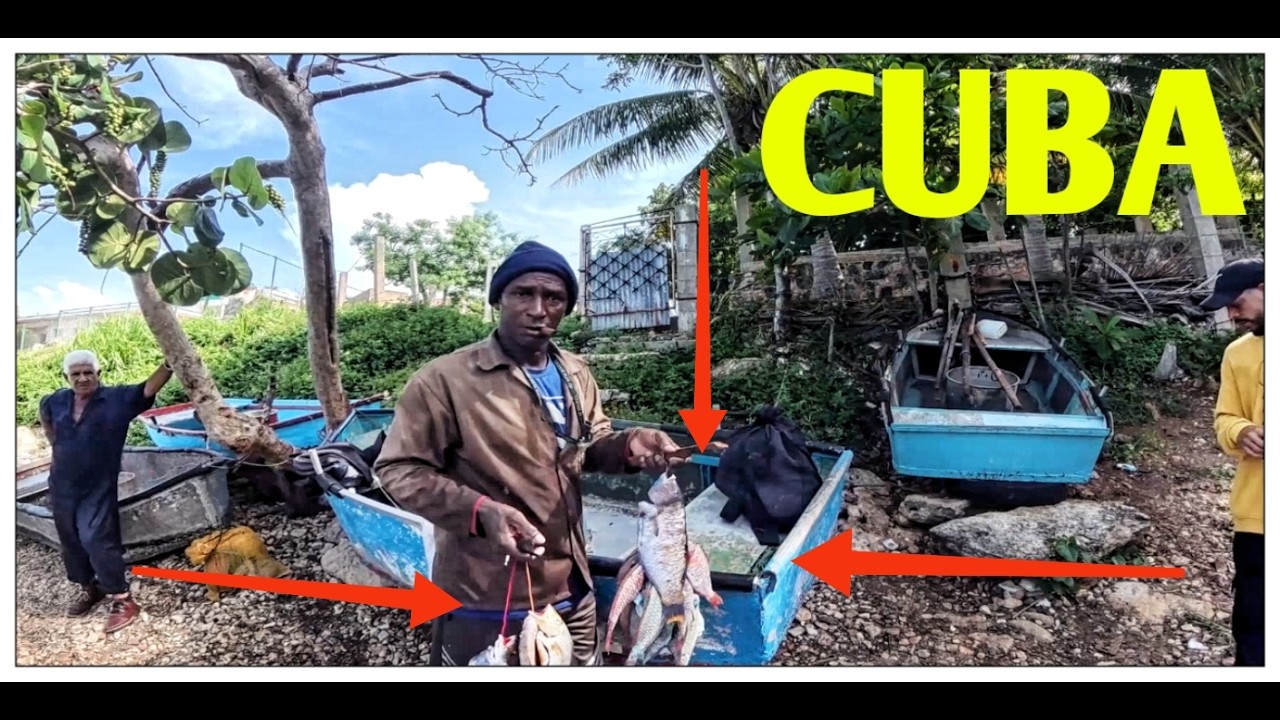 Aqui se consigue el MEJOR PESCADO de CUBA! 😎
