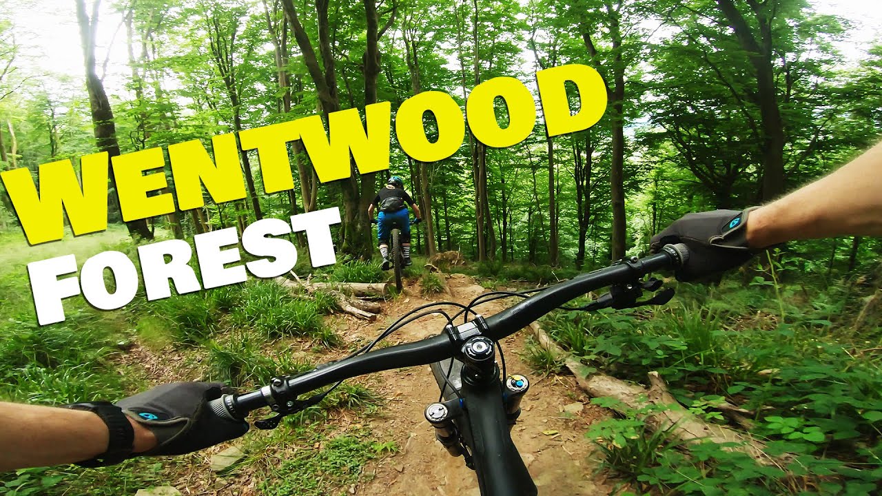 Checking out the steep and techy trails at Wentwood! | South Wales Mountain Biking