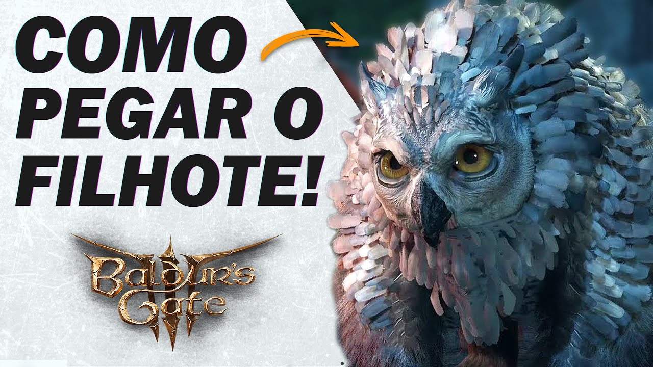 Baldur's Gate 3 - Como RECRUTAR o FILHOTE de URSO CORUJA pro seu GRUPO e CRIAR ele! (passo a passo)