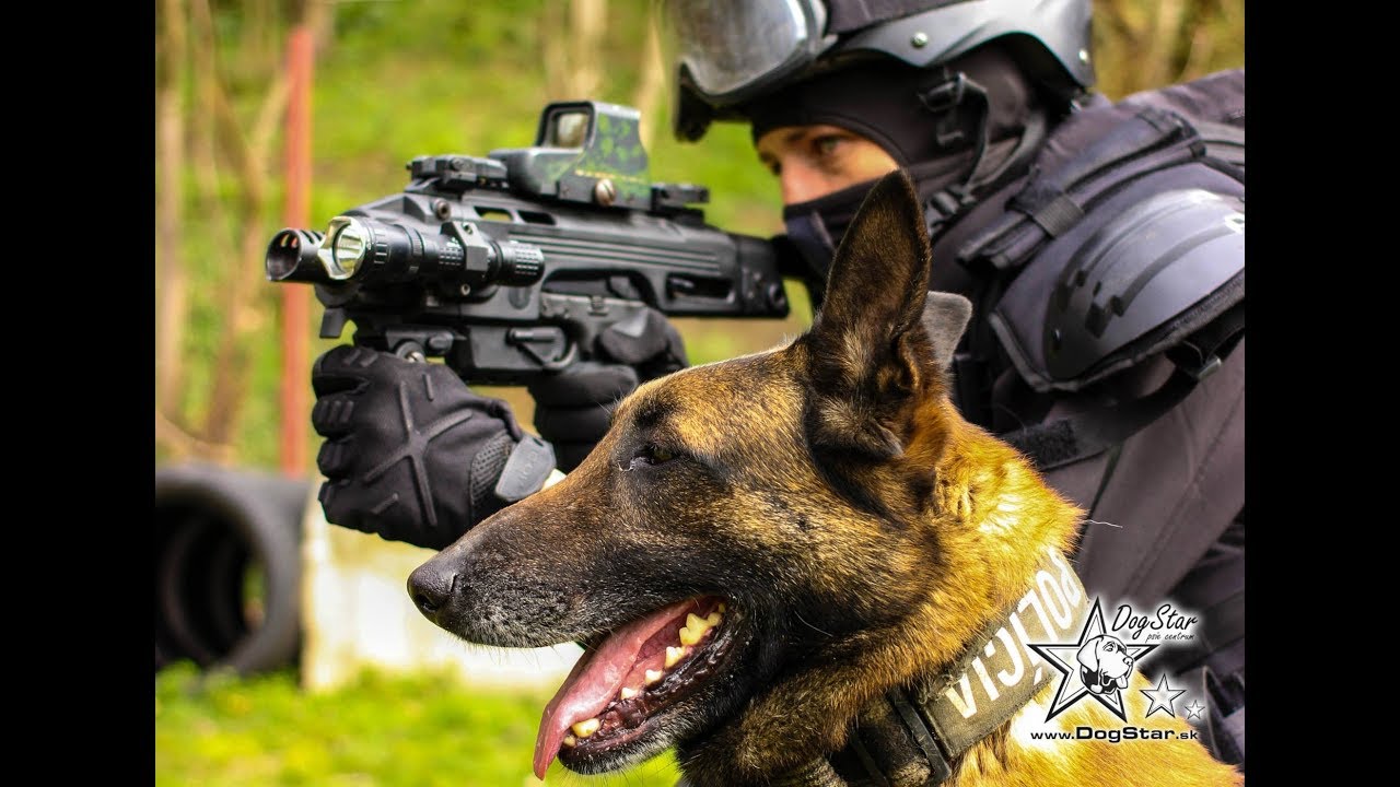 K9 Swat Action video - K9 Training Slovakia