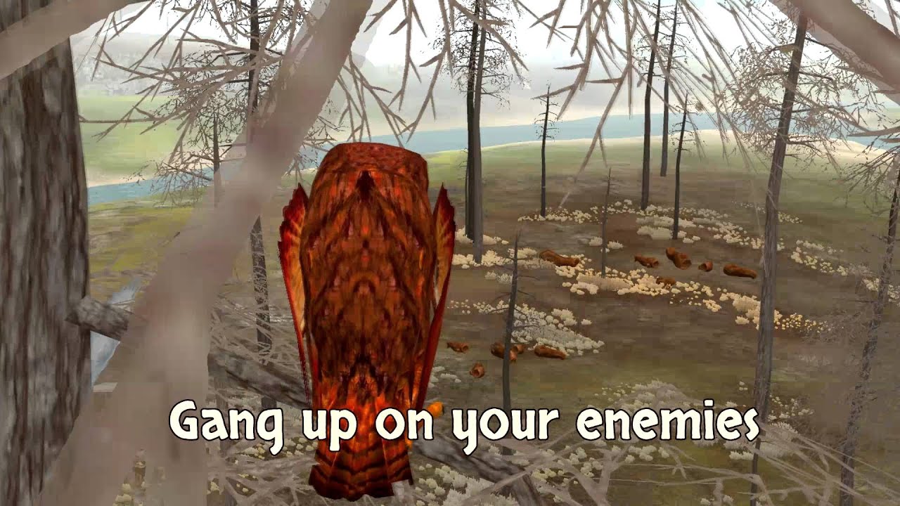 Clan of Owls Promo Video