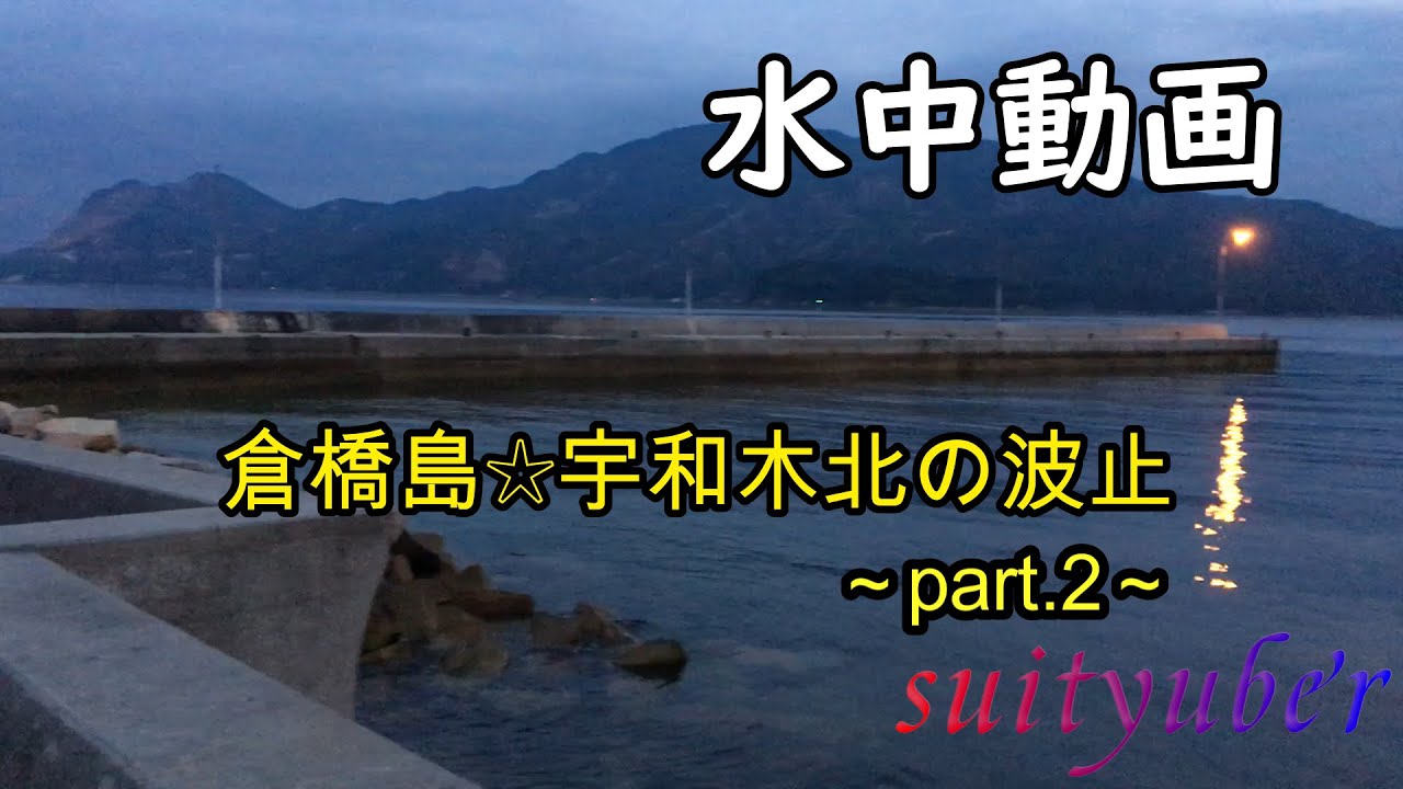 釣り人目線の水中動画　倉橋島宇和木北の波止