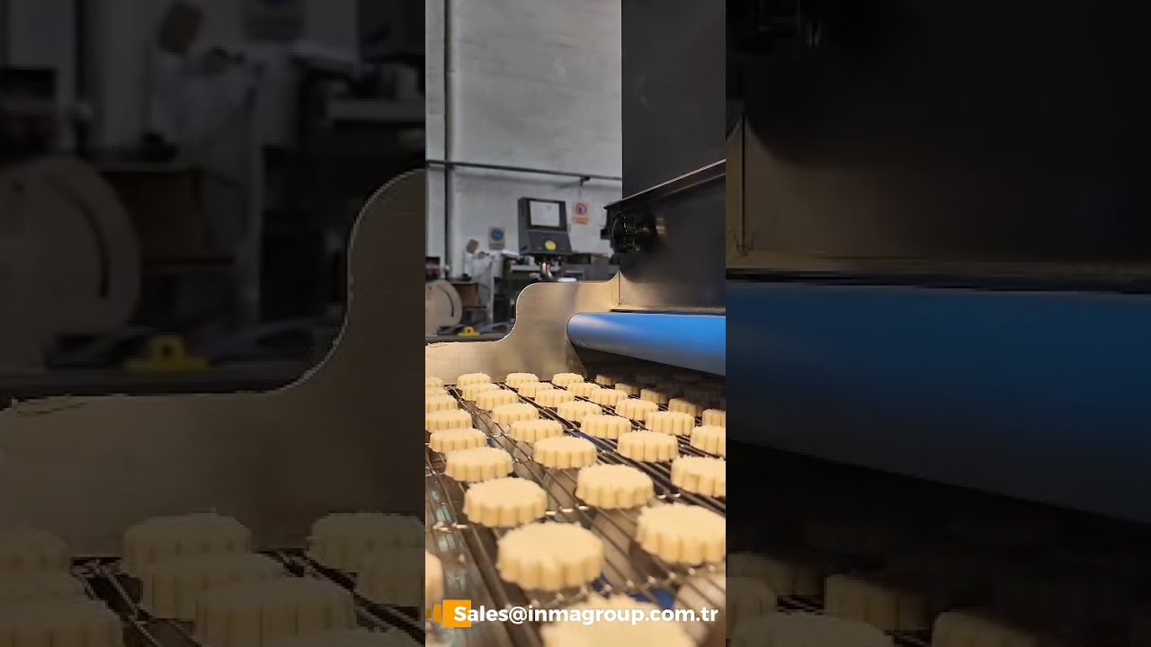ماكنة إنتاج البيتفور والكعك مع تغذية أتوماتيكية للصواني / Cookies & Bread stickes machine