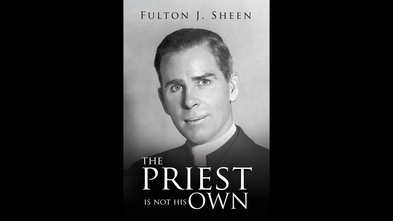 The Priest Is Not His Own, Becoming the Father God Has Called You To Be (Part 5) Catholic Drive Time
