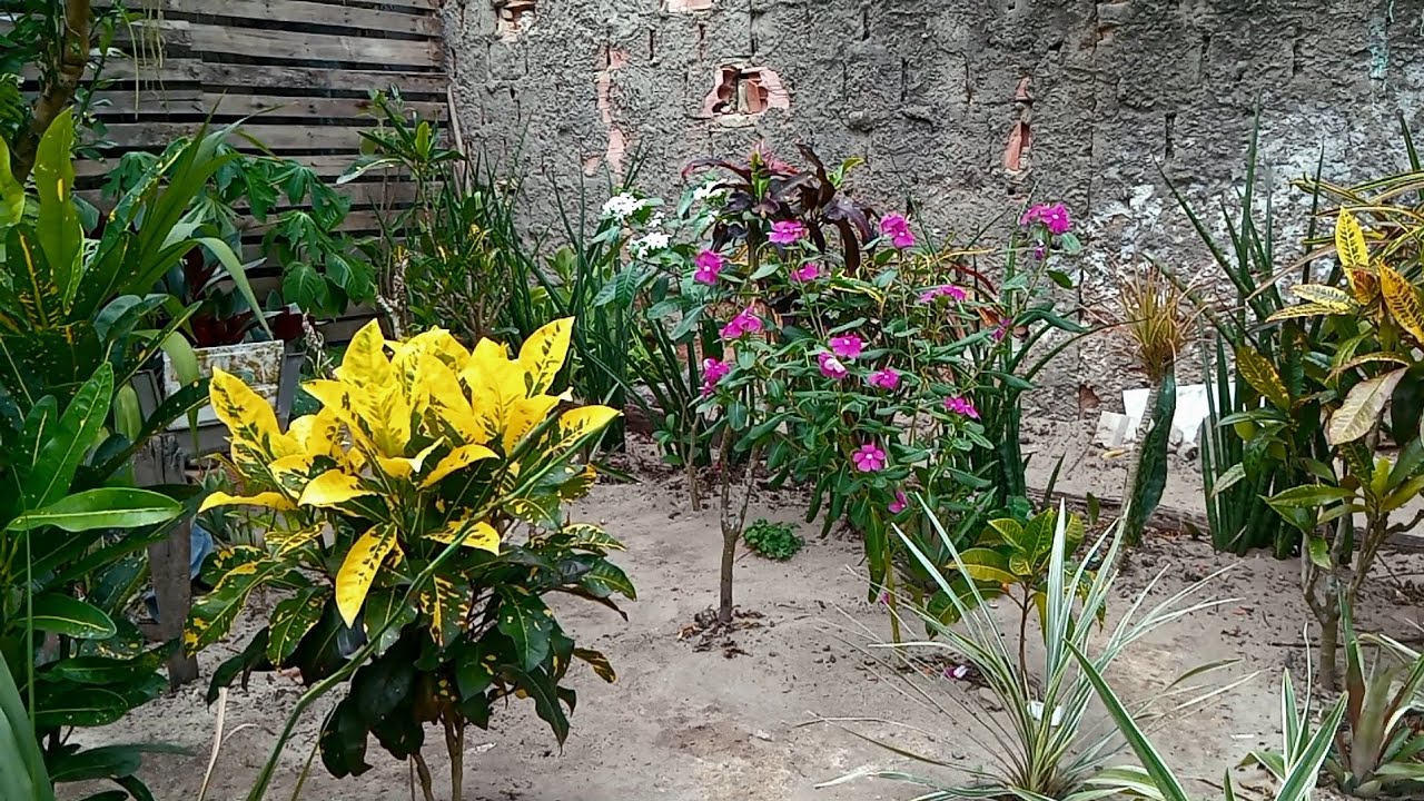 Quintal arrumado