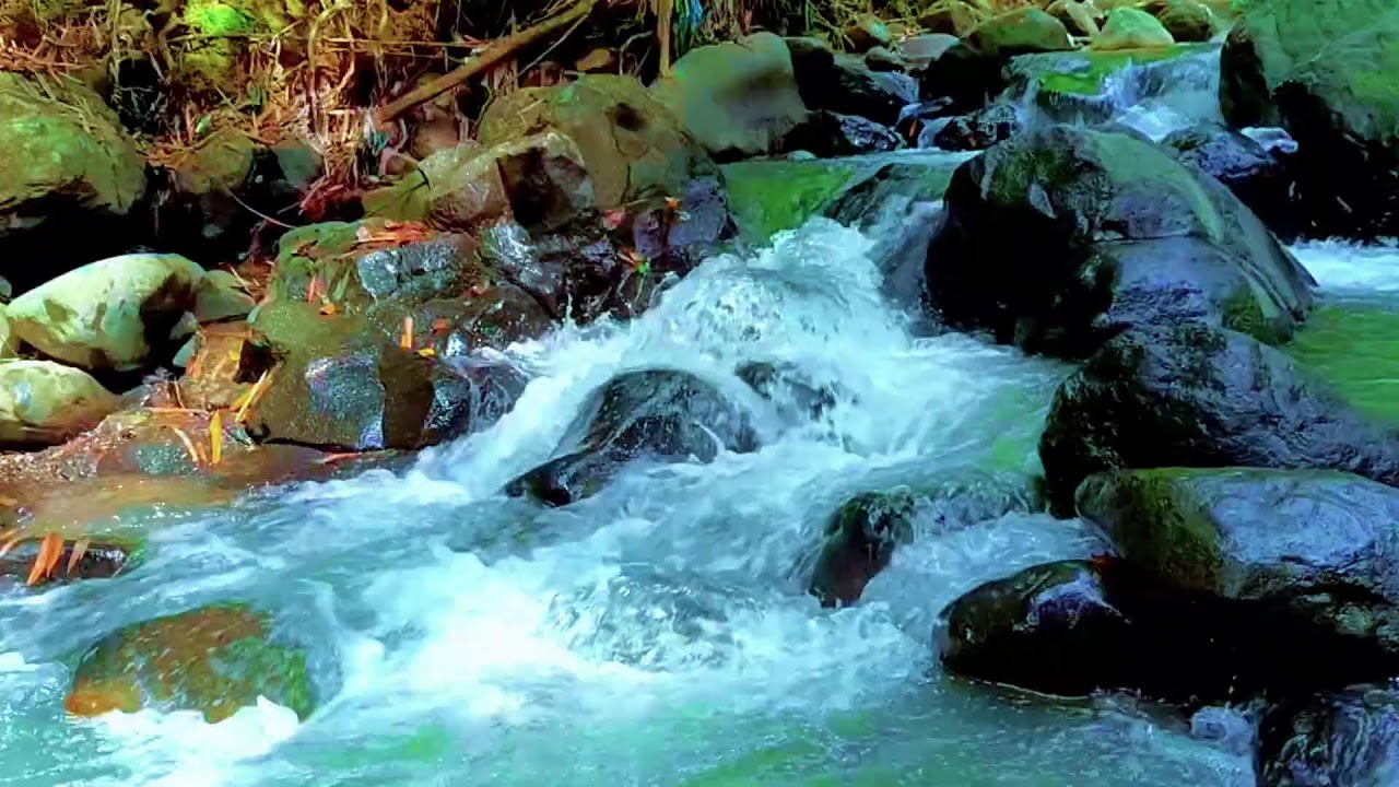 Healing River Soundscape for Meditation, Stress Relief, and Sleep