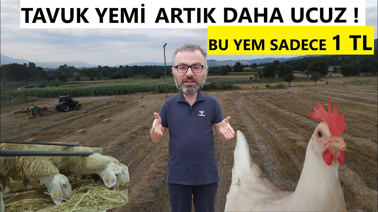 TAVUK İNEK KOYUN YEM FİYATLARINI DÜŞÜRDÜK | GÜNCEL TAVUK YEMİ FİYATI