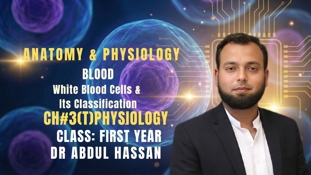 White Blood Cells in Physiology: Types, Functions and Clinical Classification