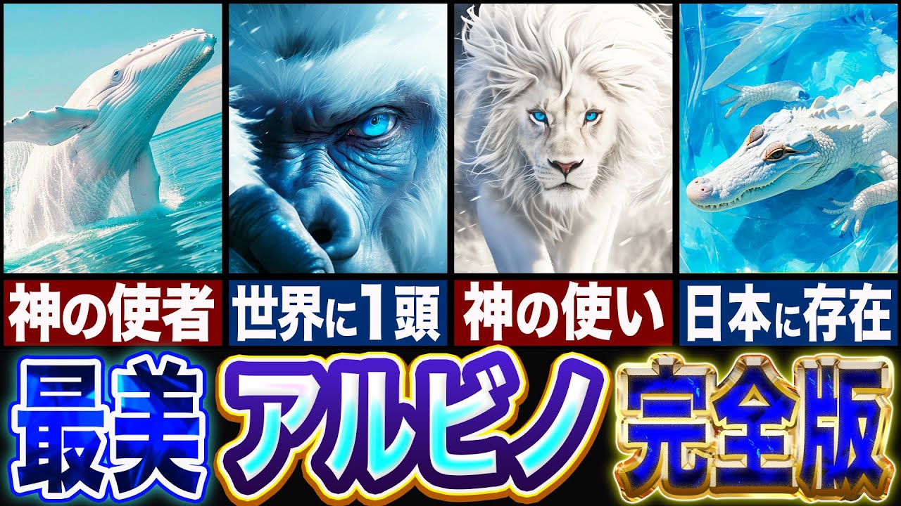 【アルビノ】神が作った美しすぎる生物…!!アルビノ生物12匹を一挙大公開!!【ゆっくり解説】