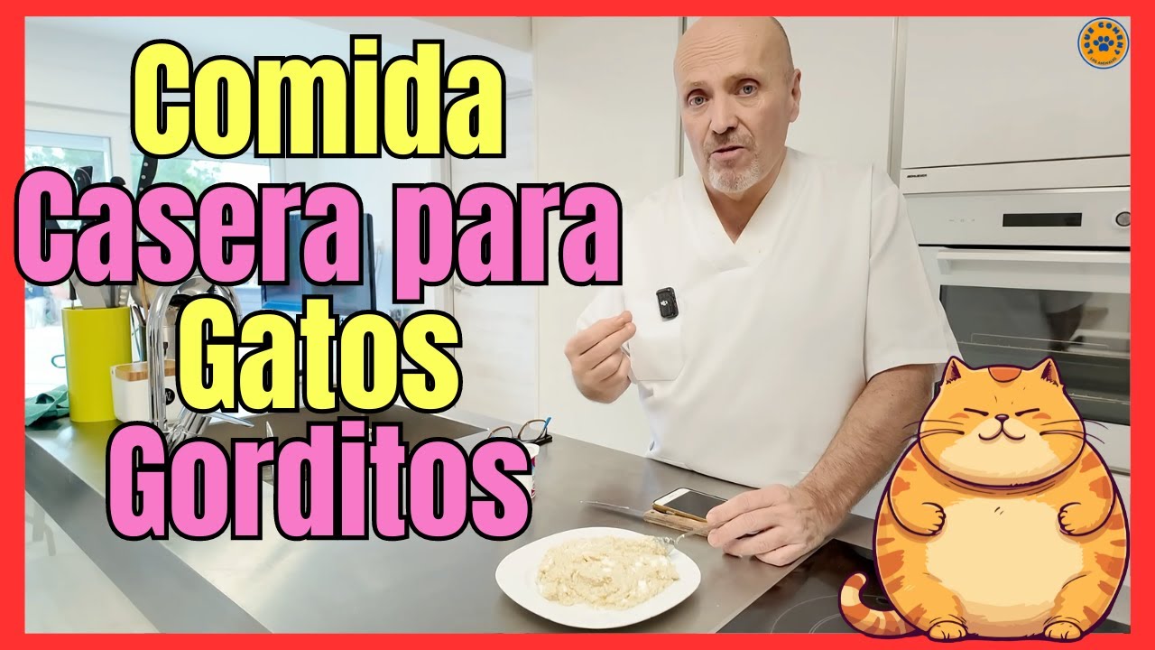 🔴 RECETA FÁCIL Y ECONÓMICA DE COMIDA CASERA PARA GATOS OBESOS CON SOBREPESO 🔴