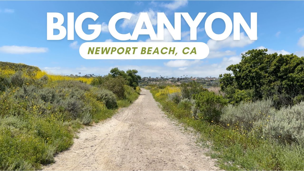 Big Canyon - Newport Beach, Ca - 4K Walking