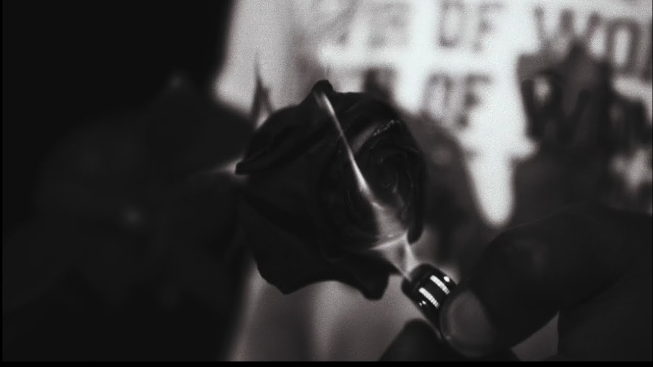 Backin Rad - beauty and the beast (Official Music Video)