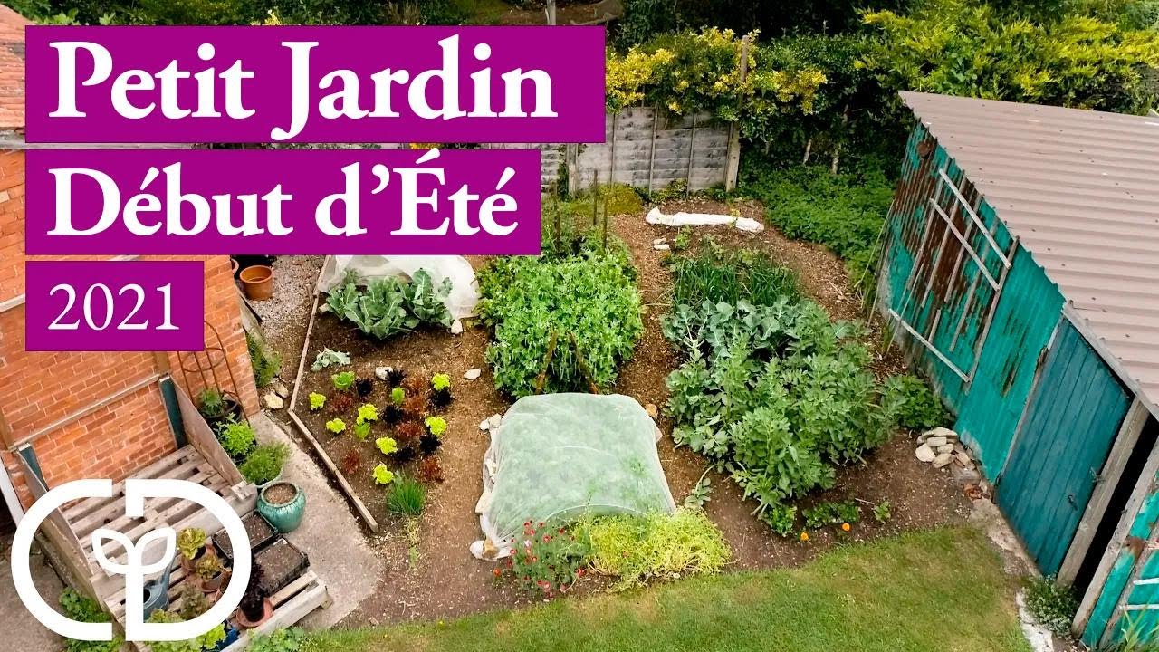 Petit jardin avec Charles Dowding : croissance spectaculaire au début de l’été