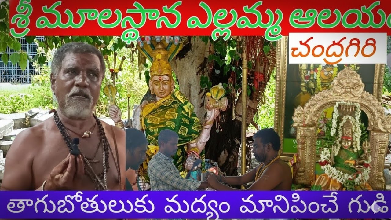 ||Sri Mulasthana Yellamma Temple | Chandragiri | Tirupati - ఇక్కడ మద్యం మాన్పించడానికి కంకణం కడతారు
