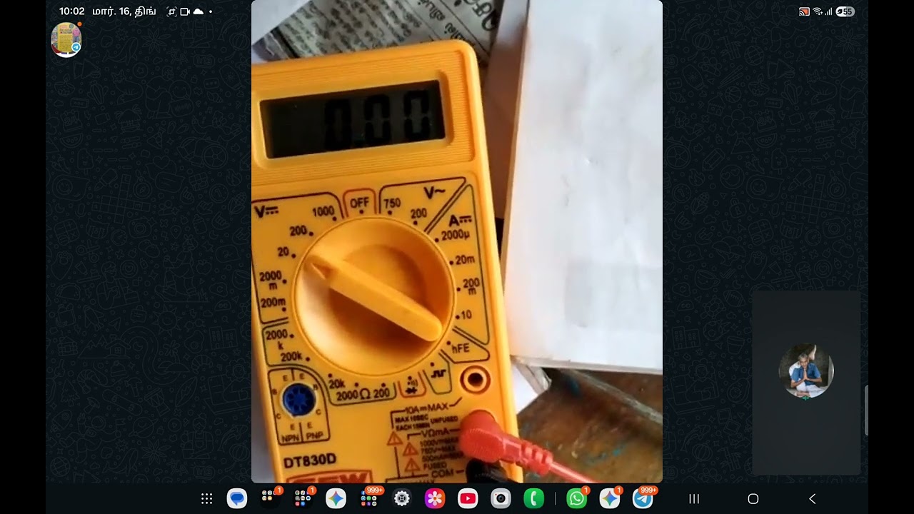 மேற்கு முட்டாள்கள்