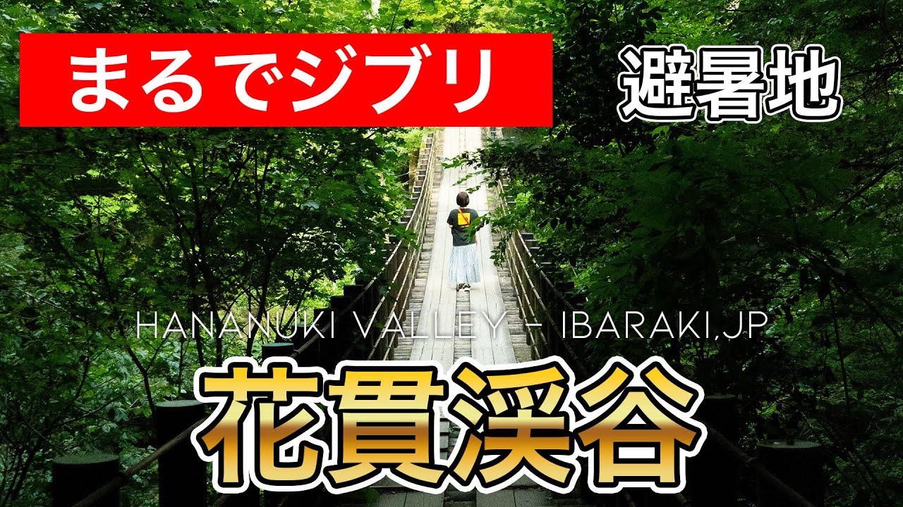 茨城県の奥地にある花貫渓谷はジブリの世界に入り込める最高の避暑地だった！