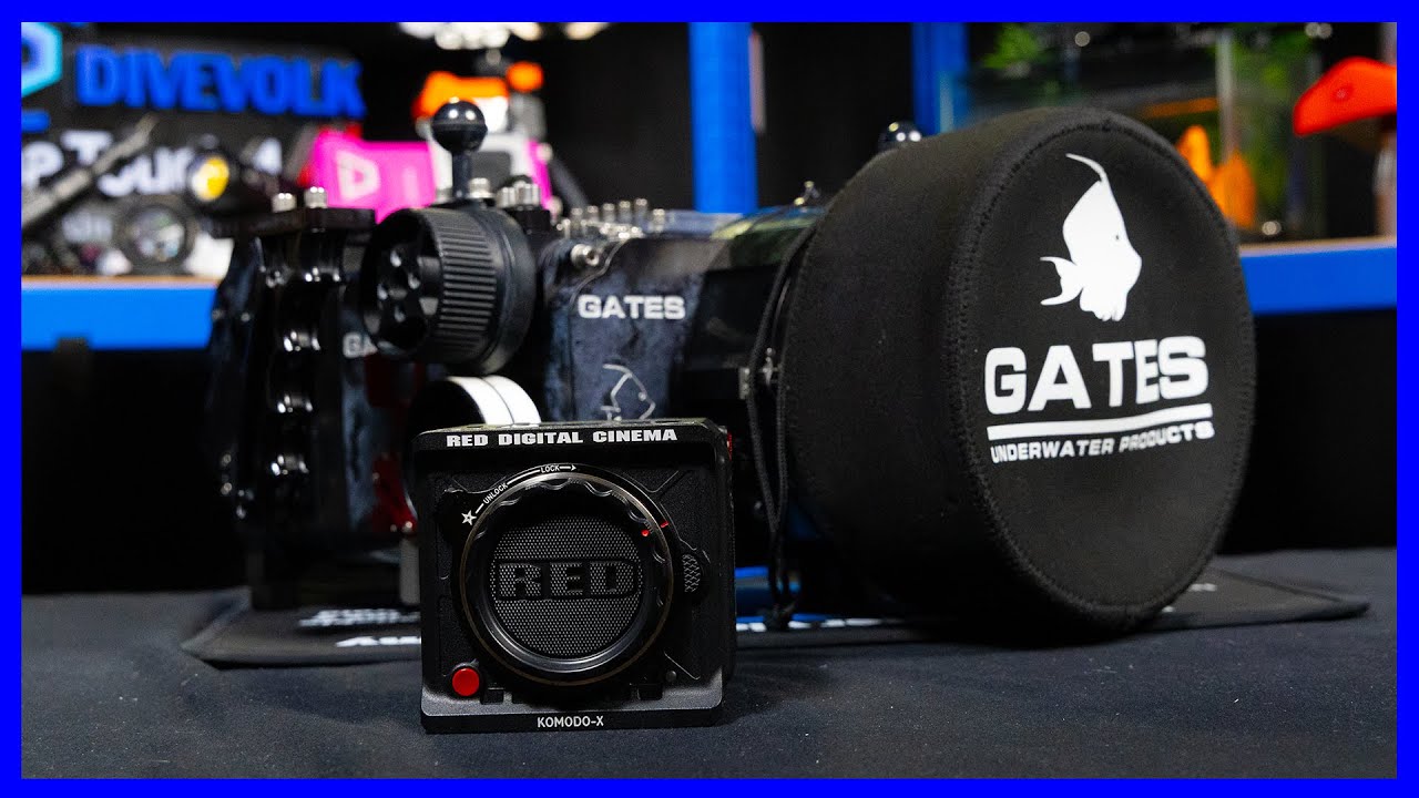 RED KOMODO-X Underwater setup ⎮ GATES DK-X housing